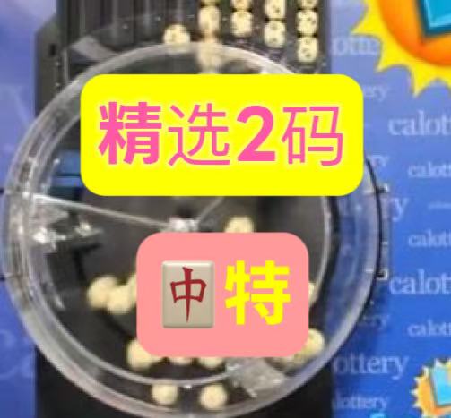 两码中特--澳门国际