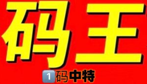 088期特码王1码中特-澳门国际